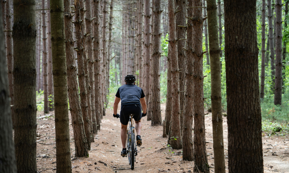 VTT ou VTC Notre Comparatif MINT Bikes