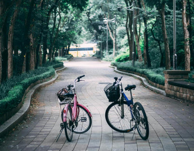 Quel est le meilleur VTC électrique en 2025 ?