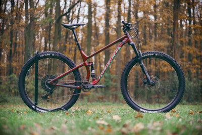 Pourquoi acheter un VTT tout suspendu d’occasion ?