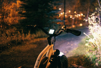 Quel est le poids idéal pour un vélo électrique ?