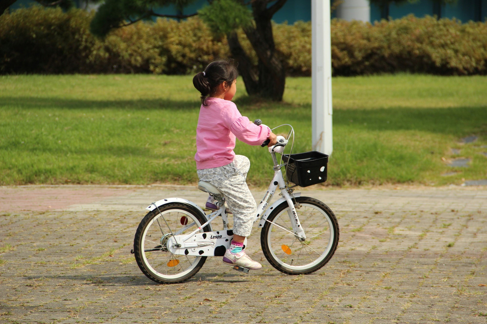 velo-electrique-age