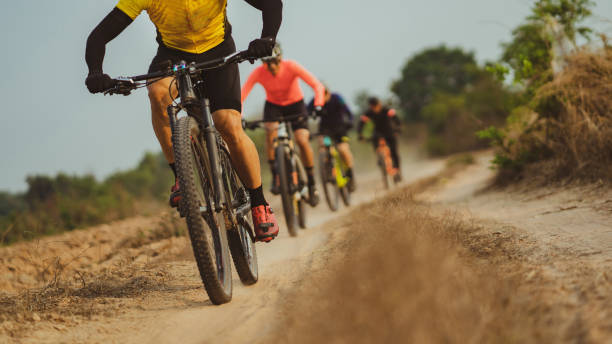 Quelle taille de vélo choisir pour 1m75 ? Guide complet par marque