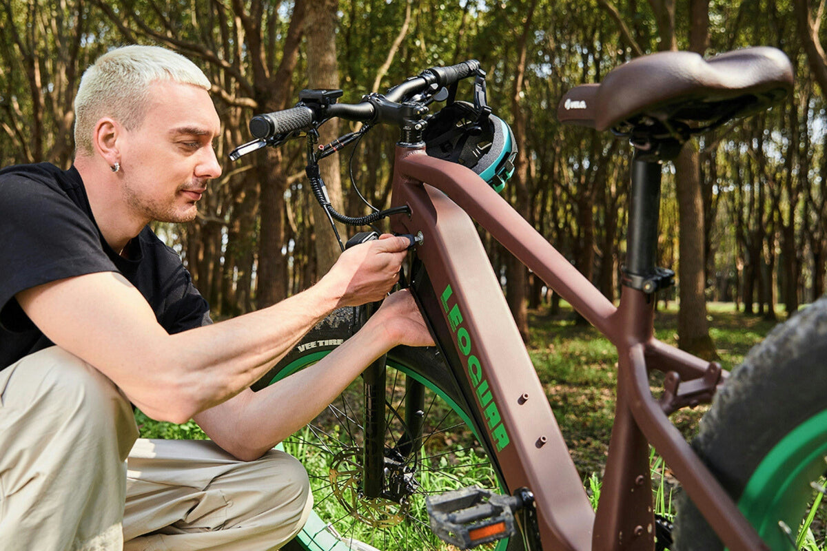 retirer-batterie-bosch-velo-electrique