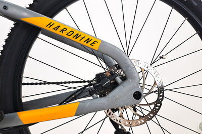 HAIBIKE Hardnine 4 2021 L (825)