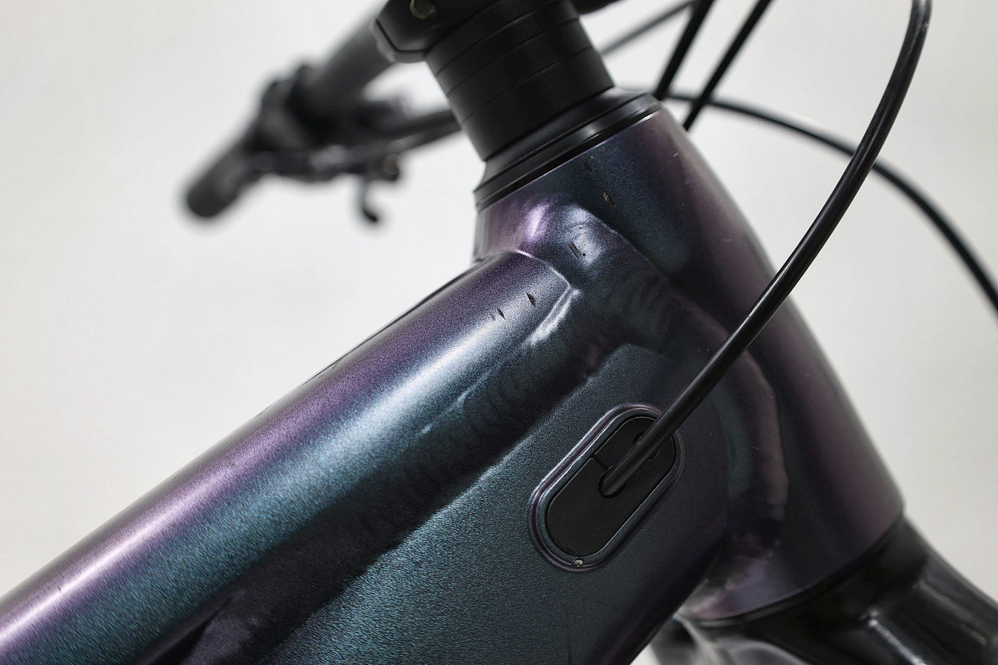 GIANT Reign 1 2024 T.M