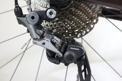 GIANT Revolt Advanced 2 2021 T.S 248127