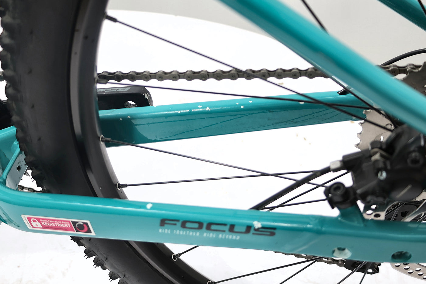 FOCUS JARIFA² 6.7 2023 T.M
