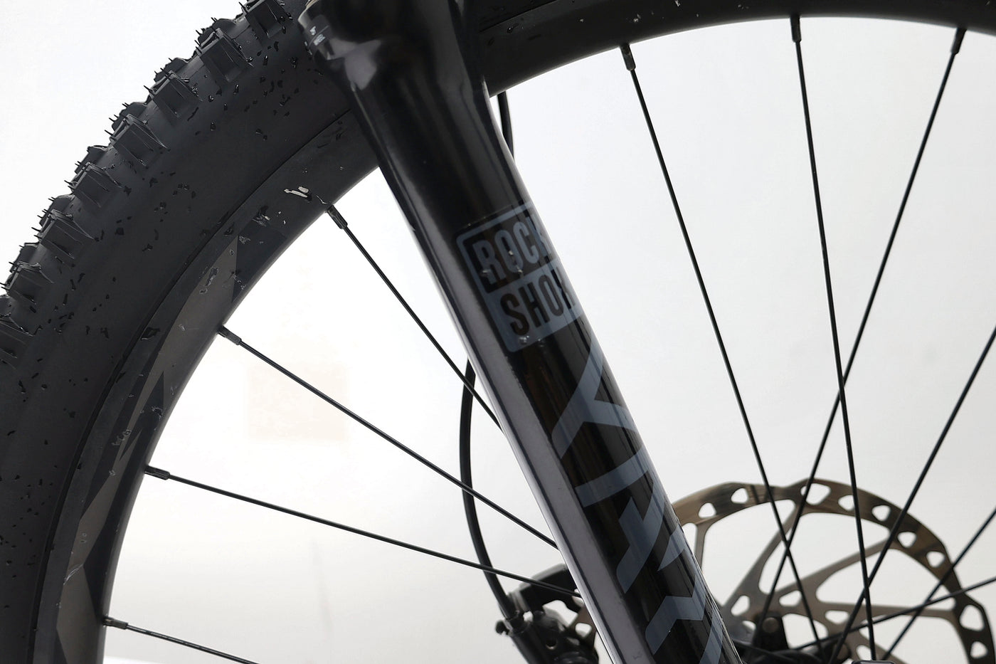 GIANT Reign 2 2021 T.L