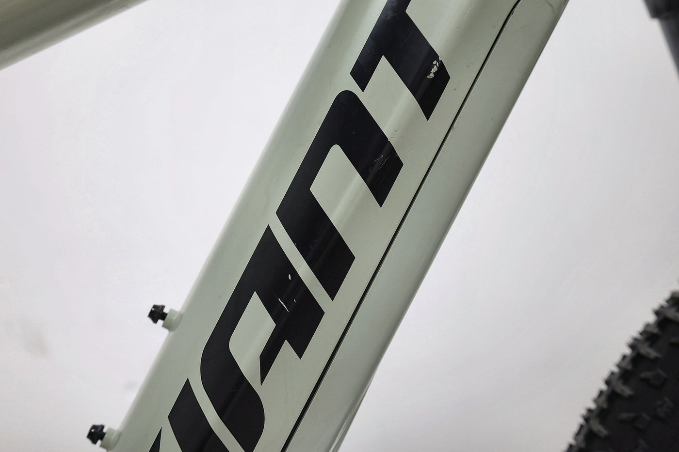 GIANT Stance E+ 1 2021 T.M
