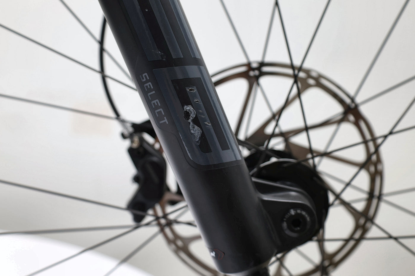 GIANT Reign E+ 2 2022 T.L