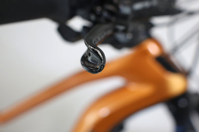 HAIBIKE ALLMTN CF 6 2022 T.XL 253658