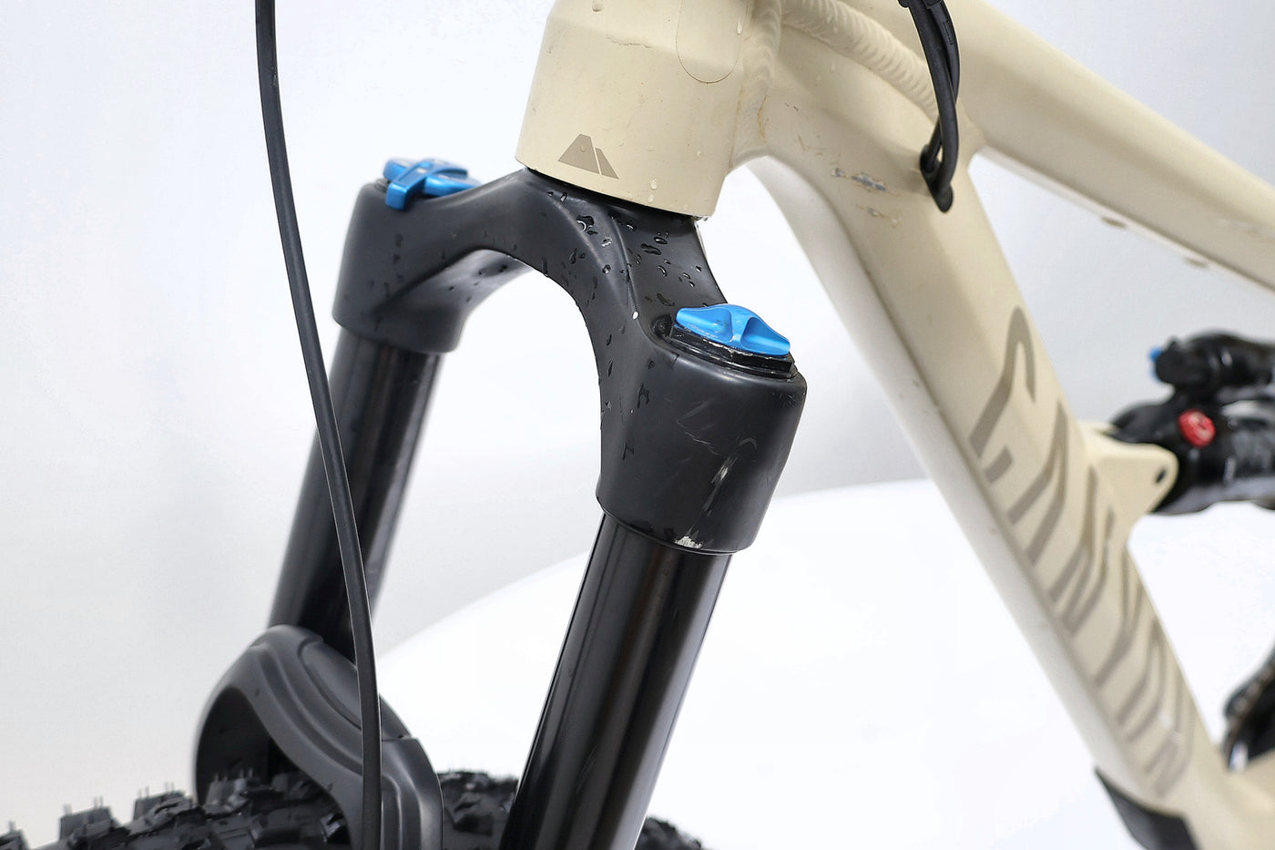 Canyon Spectral 29 AL 5 2022 T.M