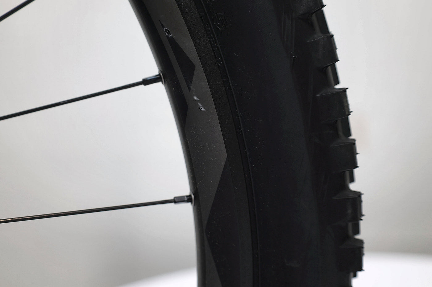 GIANT Stance E+ 1 Pro 2022 T.M