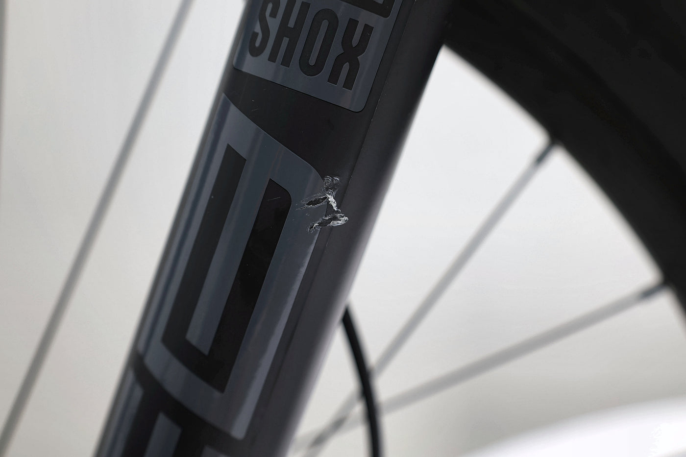 GIANT Reign E+ 2 2022 T.L