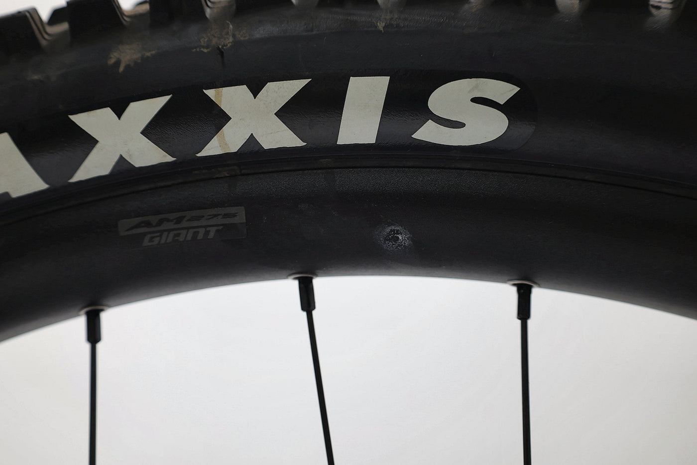 GIANT Reign E+ 2 2022 T.M