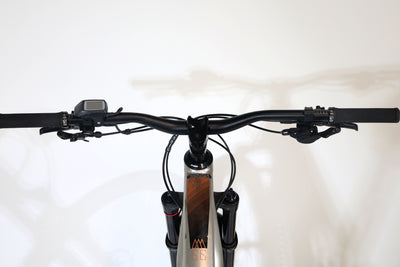 LAPIERRE Overvolt AM 6.6 2021 T.L 247029