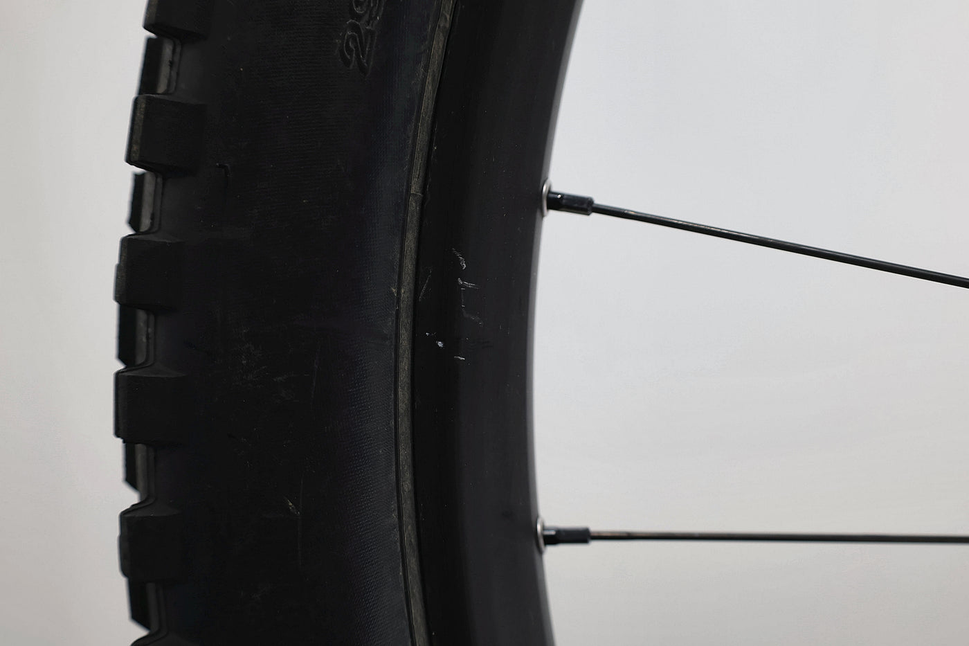 GIANT Reign E+ 2 2022 T.L