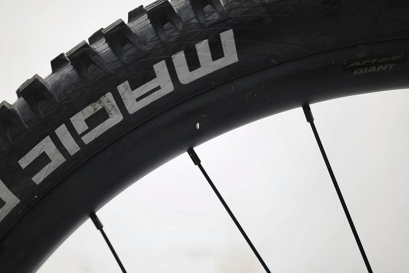 GIANT Reign 1 2024 T.M