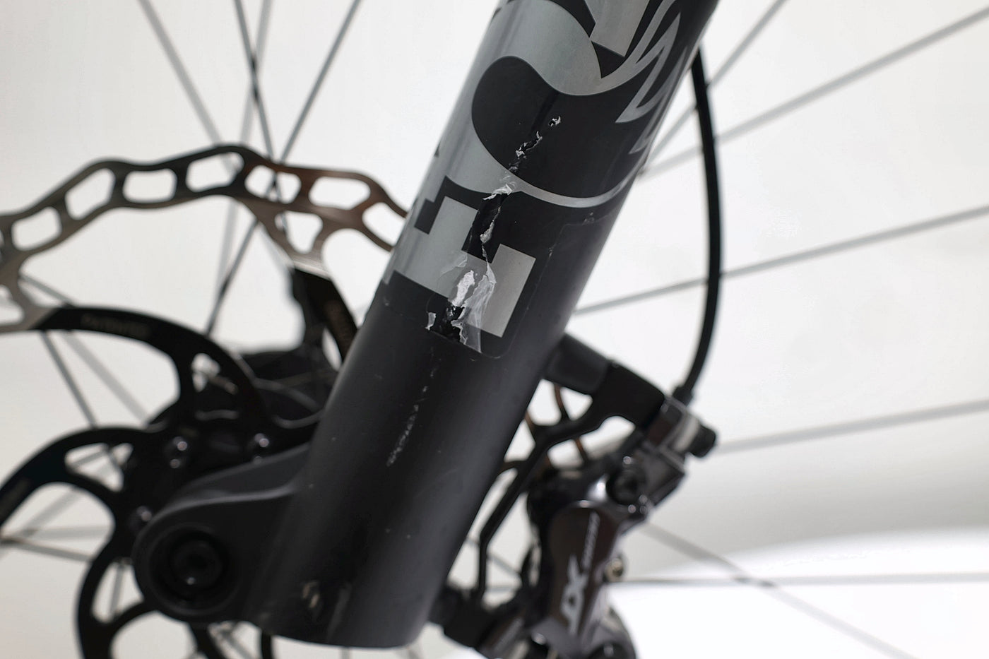 ORBEA Wild M10 2024 T.M