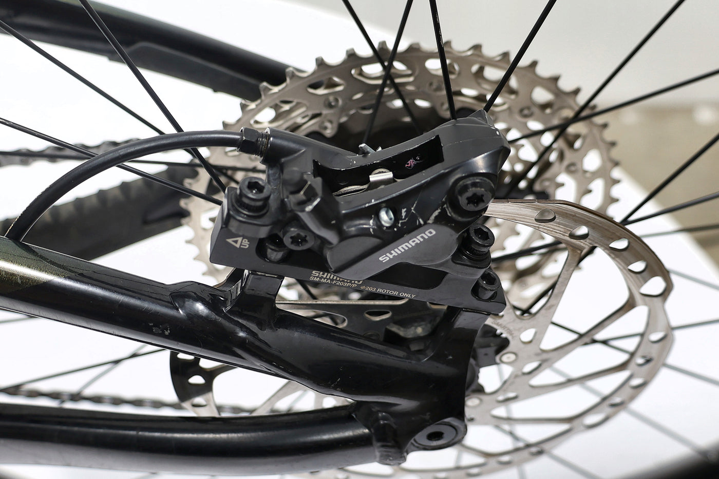 GIANT Reign 2 2021 T.L