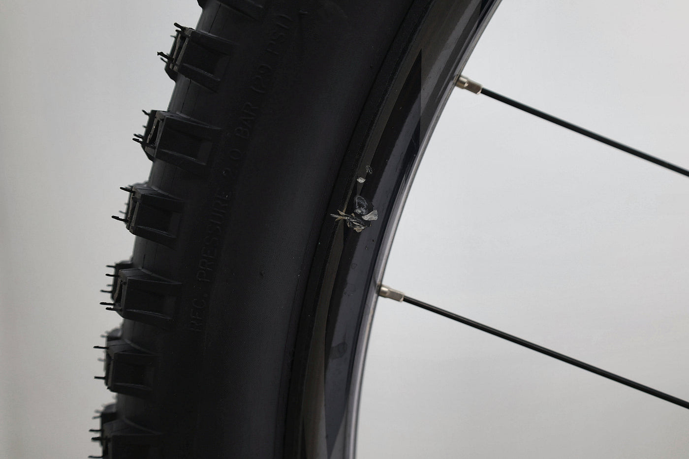 GIANT Reign 1 2024 T.M