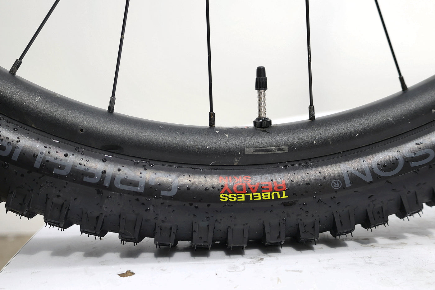 GIANT Reign 2 2021 T.L