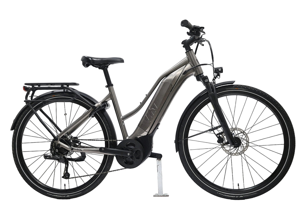 LIV Amiti E+ 3 2022 T.M