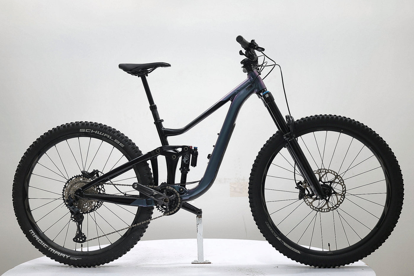 GIANT Reign 1 2024 T.S