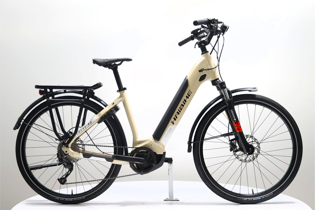 Haibike Trekking 4 Lowstep 2021 T.S 254301