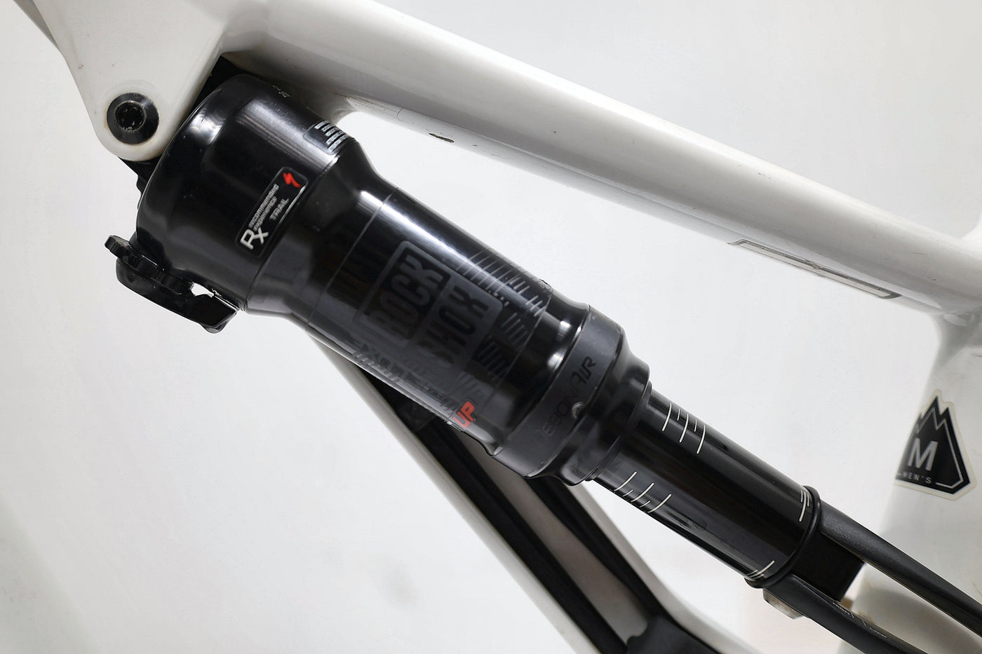 SPECIALIZED Turbo Levo Comp 2019 T.M