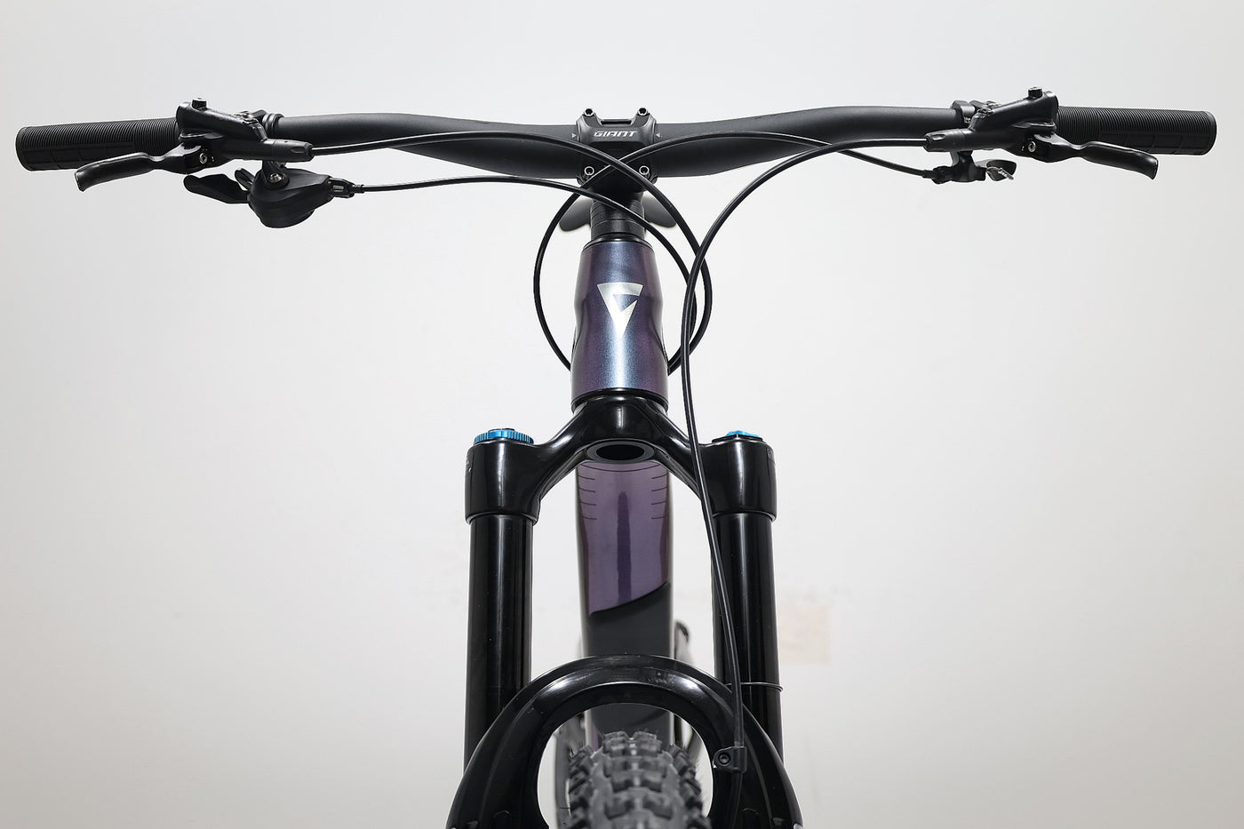 GIANT Reign 1 2024 T.M