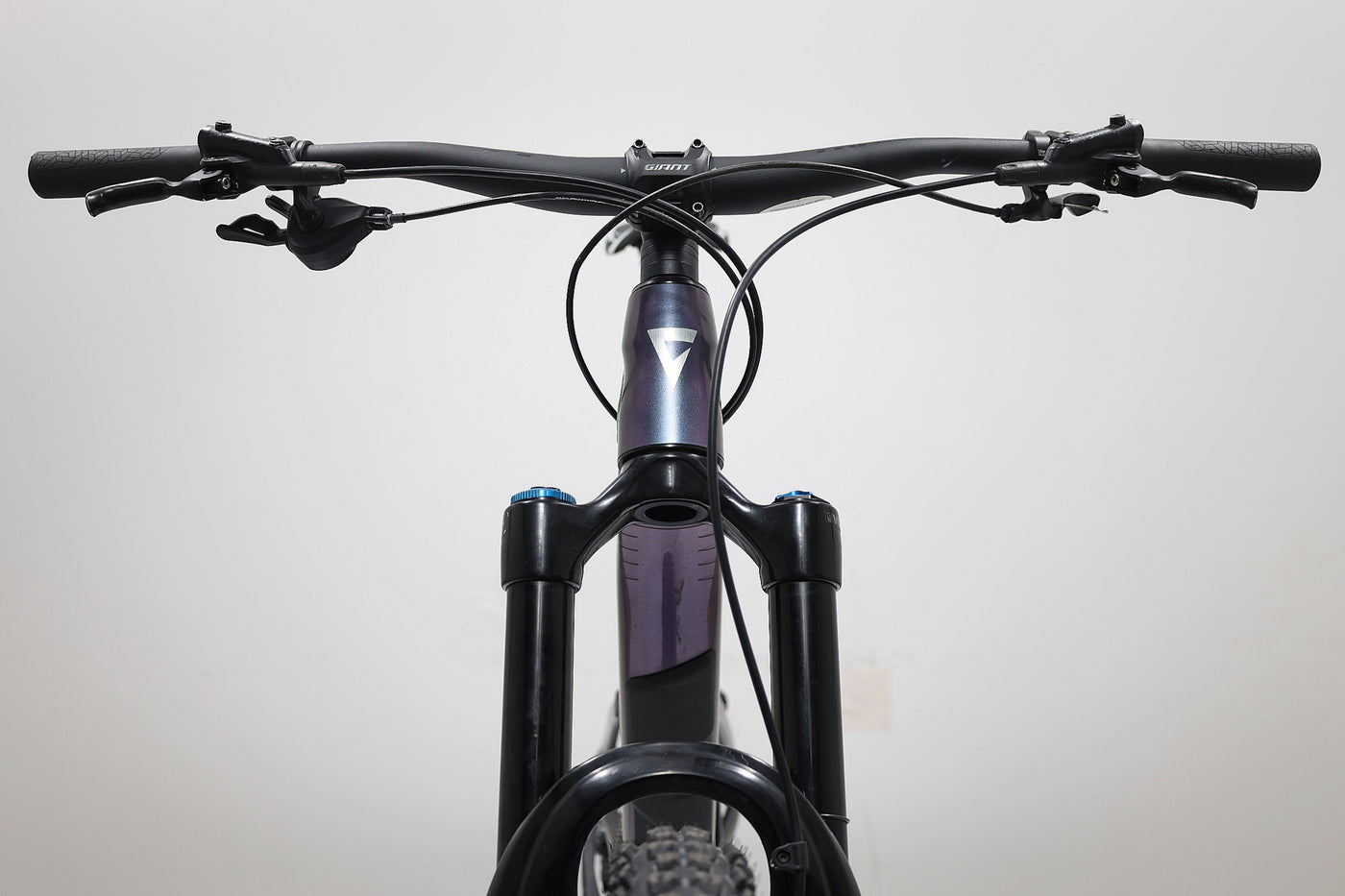 GIANT Reign 1 2024 T.M