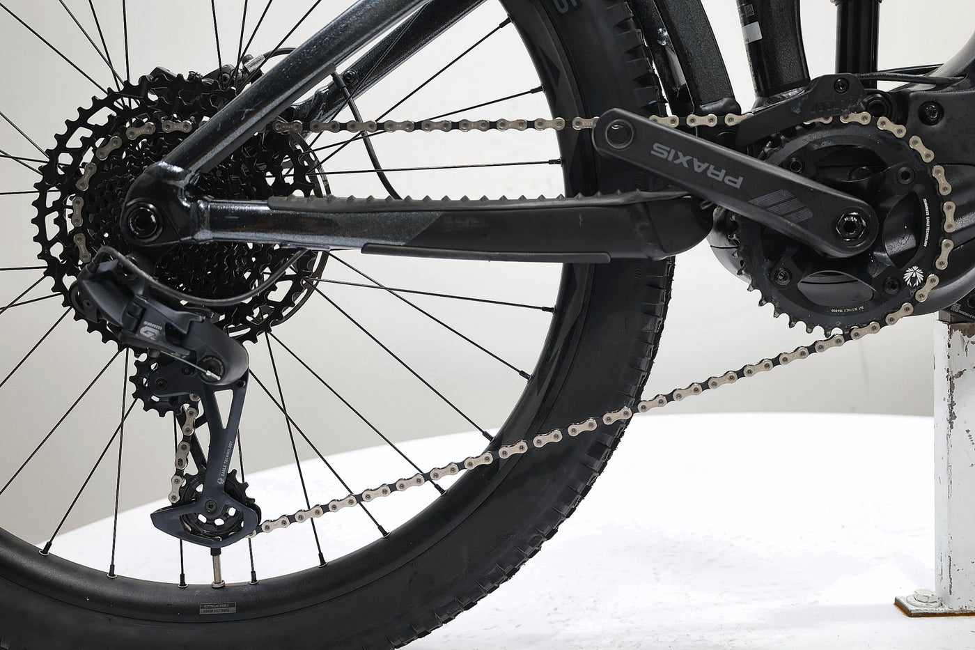 GIANT Reign E+ 2 2022 T.L
