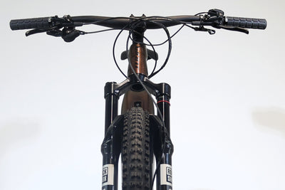 Giant TRANCE X E+3 PRO 29 2021 T.L 251356