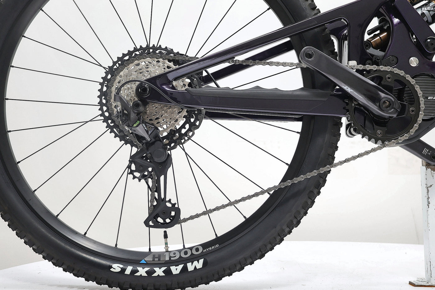 SCOR 4060 Z LT XT 2023 T.S
