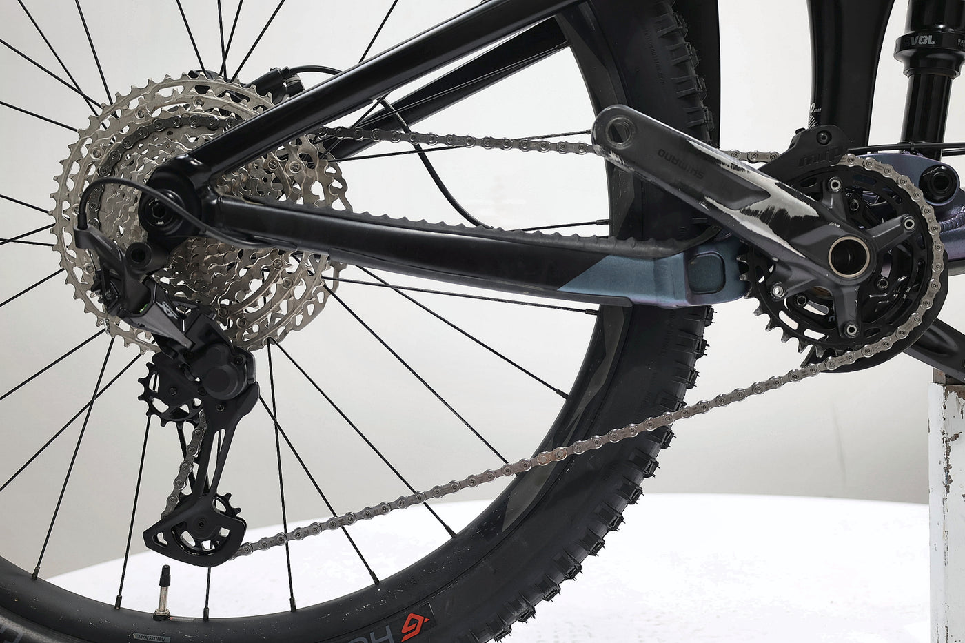 GIANT Reign 1 2024 T.M
