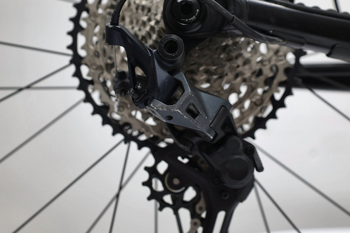 GIANT Reign 1 2024 T.M