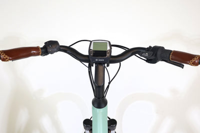 RIESE&MÜLLER Swing Vario 2023 T.46 253657