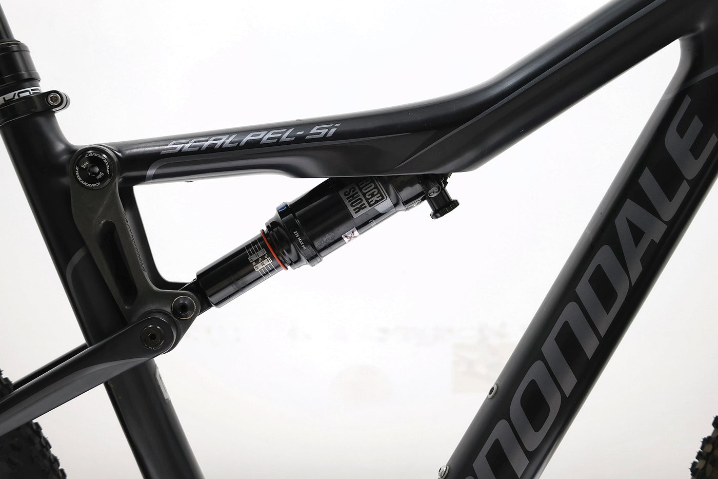 CANNONDALE Scalpel-Si Carbon 3 2018 T.M 254020