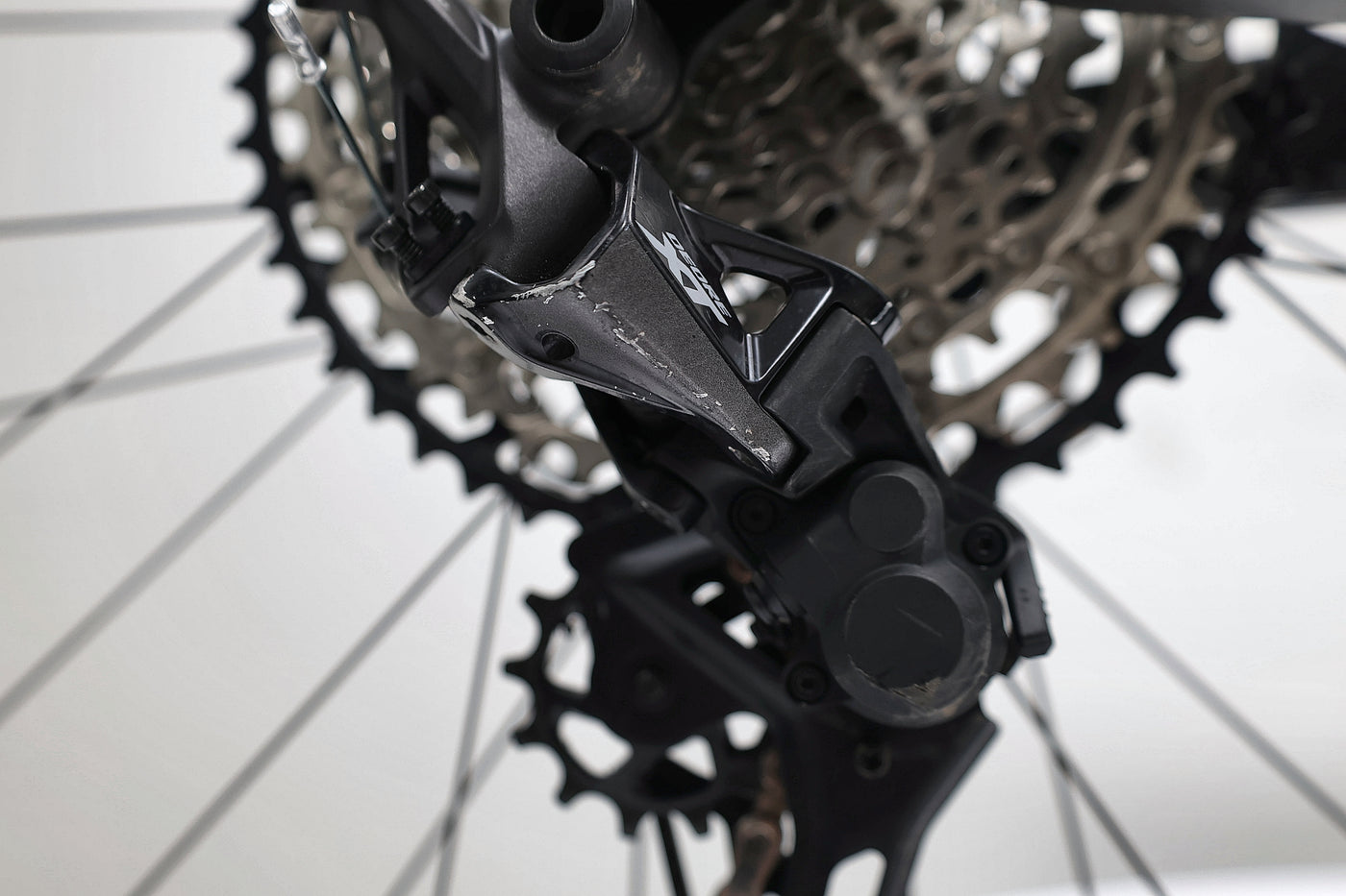 ORBEA Wild M10 2024 T.M