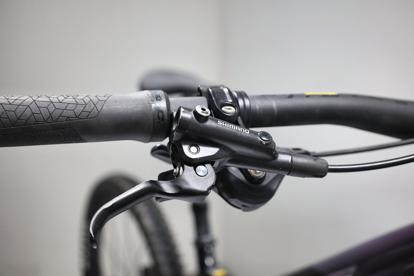 GIANT Reign 1 2024 T.S