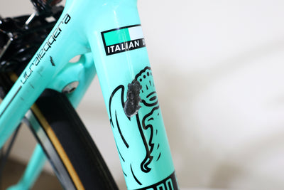 Bianchi Specialissima Super Record 2020 T.47 245183