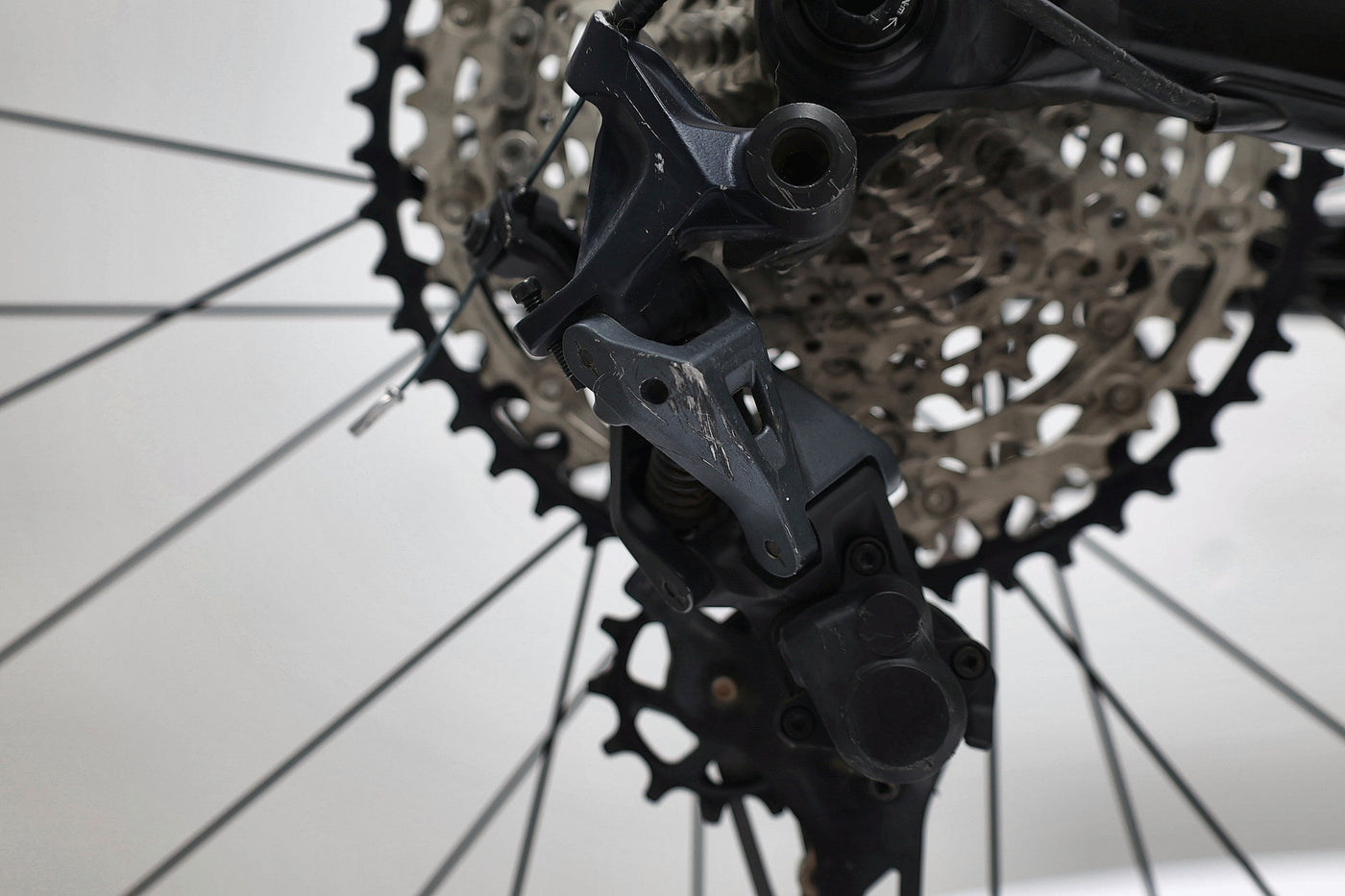 GIANT Reign 1 2024 T.S