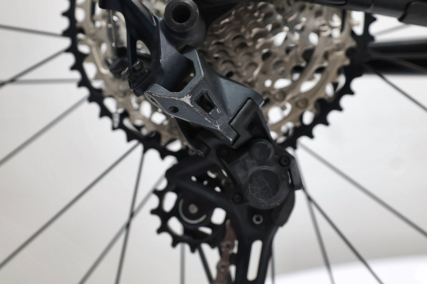 GIANT Reign 1 2024 T.M