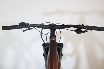 Giant TRANCE X E+3 PRO 29 2021 T.L 251356