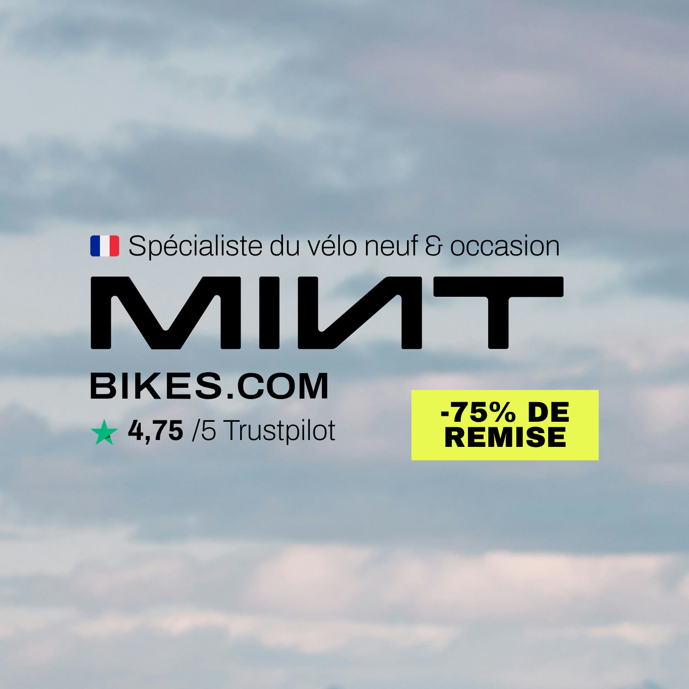Soldes Vélos De Route 2026 : Les Meilleures Promotions | MINT Bikes