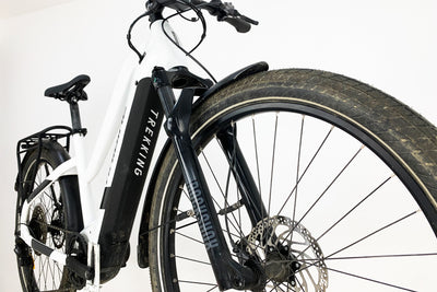 HAIBIKE Trekking 8 Femme 2021 S