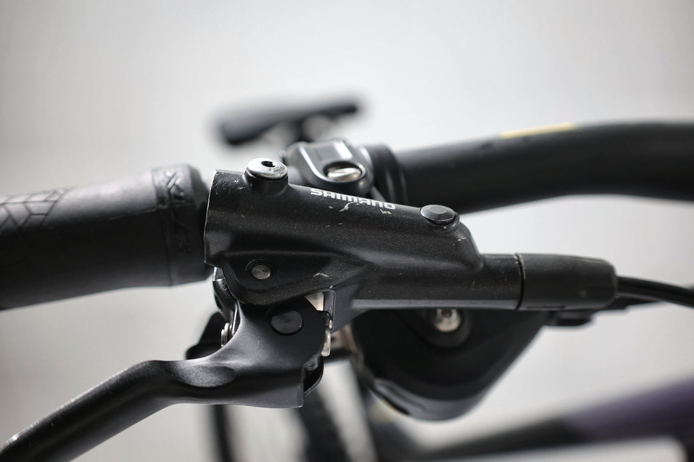 GIANT Reign 1 2024 T.L