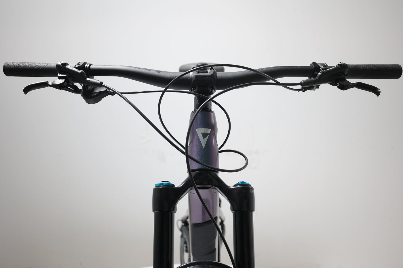 GIANT Reign 1 2024 T.L
