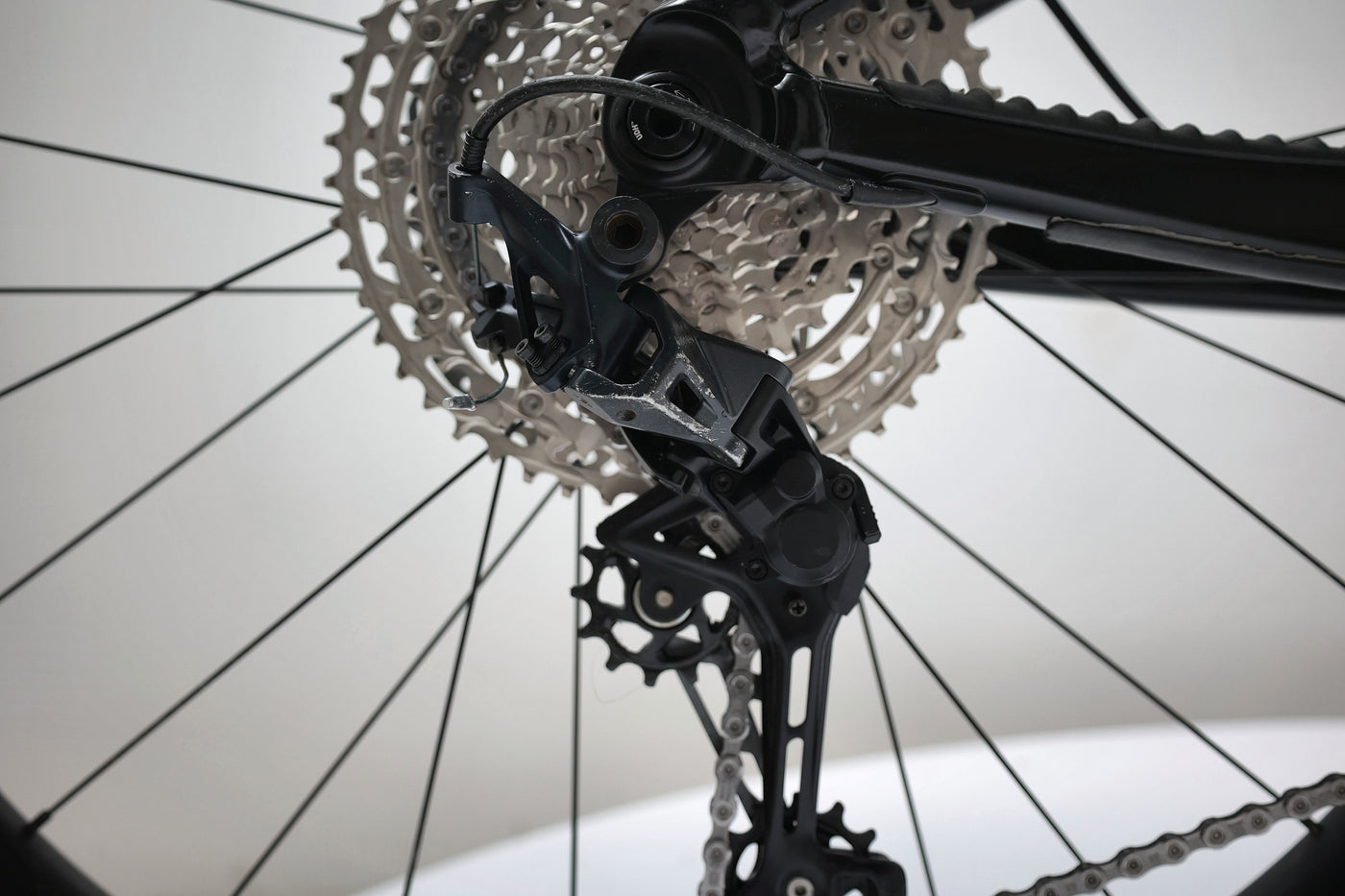 GIANT Reign 1 2024 T.L